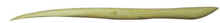 15121.jpg (7049 bytes)